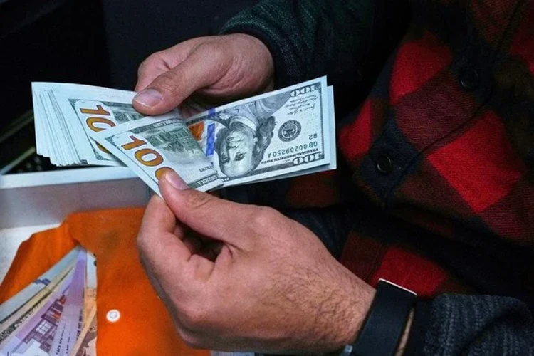 Курси валют Національного банку України на 23 липня: долар, євро, злотий