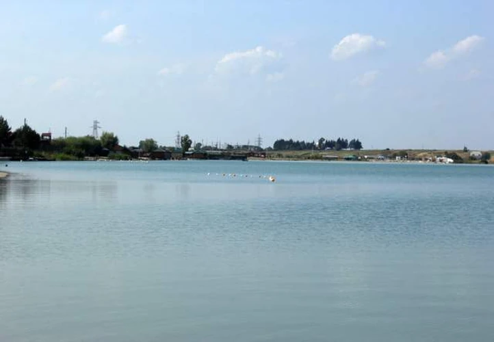 Хто відповідає за ситуацію з мором риби у Борщагівській громаді: ролі служб і посадовців